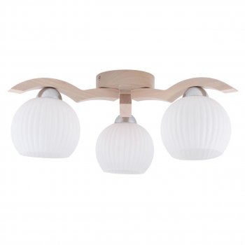 Потолочная люстра Spot Light Vasa 5640332