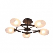 Потолочная люстра Arte Lamp Camila A6094PL-5BA