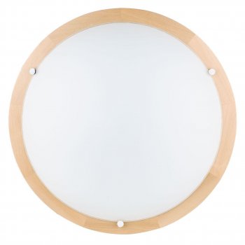 Настенно-потолочный светодиодный светильник Spot Light Frida 4754260