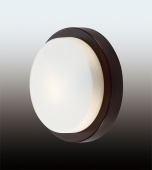 Потолочный светильник Odeon Light Holger 2744/1C