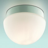 Потолочный светильник Odeon Light Minkar 2443/1B