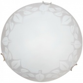 Настенный светильник Arte Lamp Leaves A4020PL-1CC