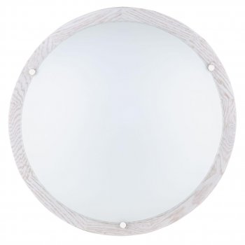 Настенно-потолочный светодиодный светильник Spot Light Frida 4753132