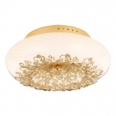 Потолочный светильник Arte Lamp Zucca A9111PL-4GO