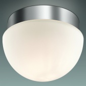 Потолочный светильник Odeon Light Minkar 2443/1A