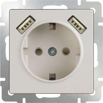 Розетка с заземлением, шторками и USBx2 слоновая кость WL03-SKGS-USBx2-IP20 4690389073205