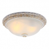 Потолочный светильник Arte Lamp Torta A7122PL-2WG
