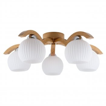 Потолочная люстра Spot Light Vasa 5640570