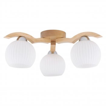Потолочная люстра Spot Light Vasa 5640360