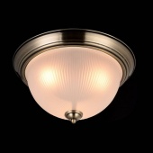 Потолочный светильник Maytoni Planum CL913-02-R