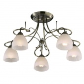 Потолочная люстра Odeon Light Kaena 2120/5C