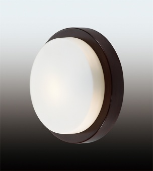 Потолочный светильник Odeon Light Holger 2744/1C