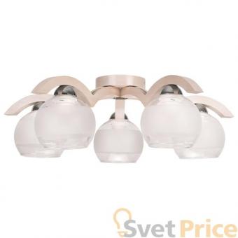 Потолочная люстра TK Lighting 755 Mewa 5