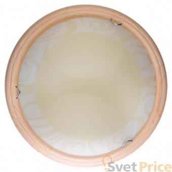 Настенно-потолочный светодиодный светильник Toplight Ginger TL9620Y-00PN