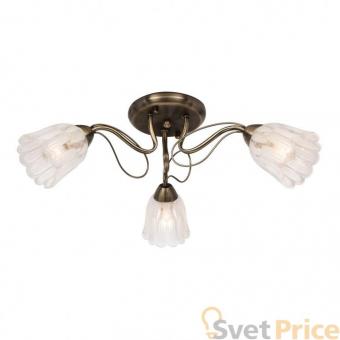 Потолочная люстра Silver Light Azalea 504.53.3