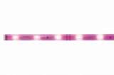 Светодиодная лента Paulmann Neon 70436