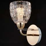 Бра Maytoni Eurosize 7 Gold TOC007-01-G