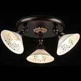 Спот Maytoni Spot 2 ECO002-33-R