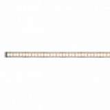 Светодиодная лента Paulmann MaxLED 70568