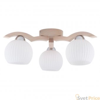 Потолочная люстра Spot Light Vasa 5640332