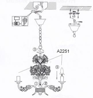 Подвесная люстра Odeon Light Serena 2251/5