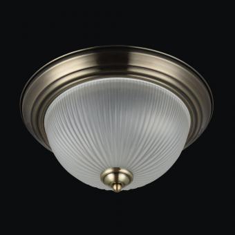 Потолочный светильник Freya Planum FR913-02-R