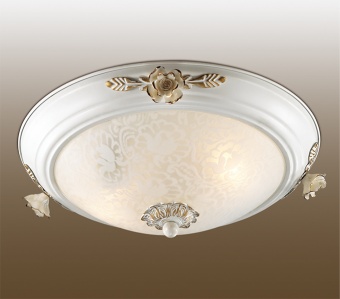 Потолочный светильник Odeon Light Bone 2692/2C