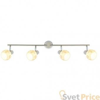 Спот Silver Light Flora 307.37.4