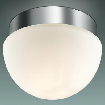 Потолочный светильник Odeon Light Minkar 2443/1A