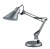 Настольная лампа Odeon Light Ixar 2131/1T