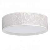 Потолочный светодиодный светильник MW-Light Ривз 674016101