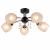 Потолочная люстра IDLamp Agnes 843/5PF-Blackchrome