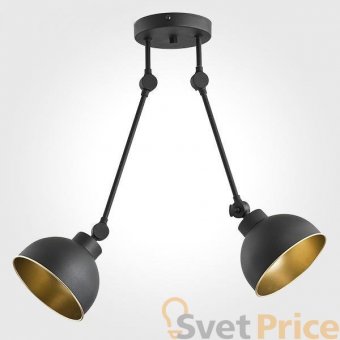 Подвесная люстра TK Lighting 2174 Techno