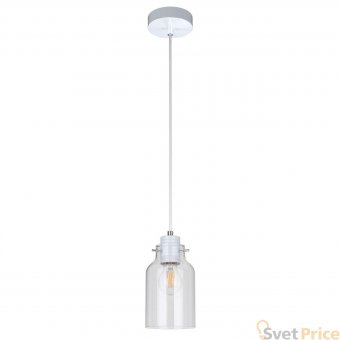 Подвесной светильник Spot Light Alessandro 1760102