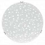 Настенно-потолочный светодиодный светильник Spot Light Flora 4045112