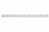 Светодиодная лента Paulmann MaxLED 70583