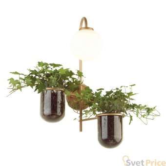 Настенный светильник Odeon Light Flower 4682/1W