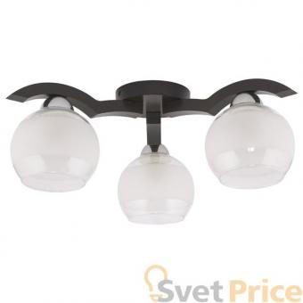 Потолочная люстра TK Lighting 743 Mewa Venge 3
