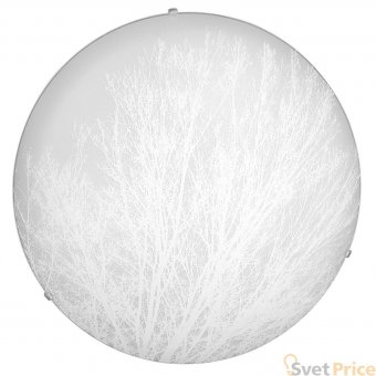 Настенно-потолочный светодиодный светильник Spot Light Nature 4015112B