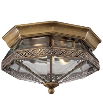 Потолочный светильник Odeon Light Lagon 2545/2