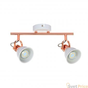 Спот Spot Light Anita 2766202