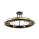 Потолочная люстра Lumion Maeve 4401/6C