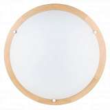 Настенно-потолочный светодиодный светильник Spot Light Frida 4753160
