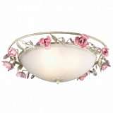 Потолочный светильник Odeon Light Oxonia 2585/3