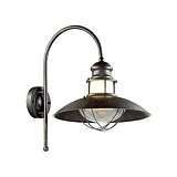 Уличный настенный светильник Odeon Light Dante 4164/1WA