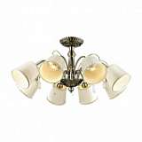 Потолочная люстра Odeon Light Atesa 2925/8C