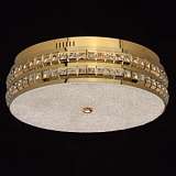 Потолочный светодиодный светильник MW-Light Ривз 674013601