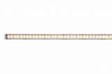 Светодиодная лента Paulmann MaxLED 70571