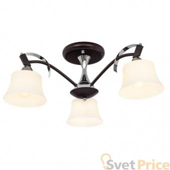 Потолочная люстра Silver Light Assol 231.59.3