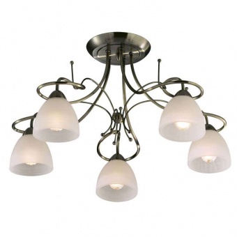 Потолочная люстра Odeon Light Kaena 2120/5C
